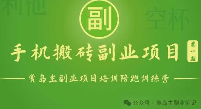 手机搬砖小副业项目训练营1.0，实测1小时收益50+，一部手机轻松日入100+-蓝天网创