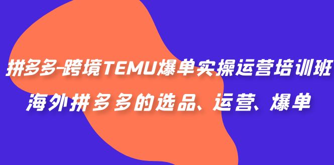 拼多多-跨境TEMU爆单实操运营培训班，海外拼多多的选品、运营、爆单-蓝天网创