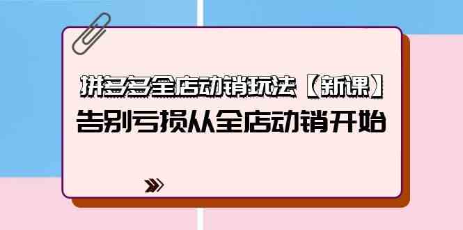 拼多多全店动销玩法【新课】，告别亏损从全店动销开始（4节视频课）-蓝天网创