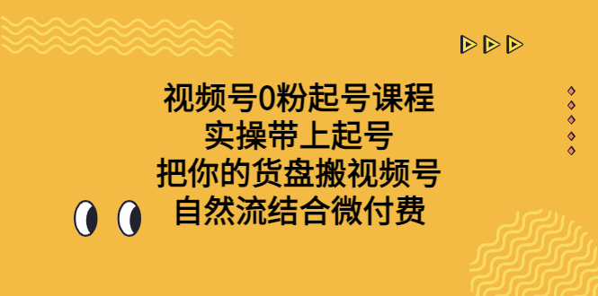 视频号0粉起号课程 实操带上起号 把你的货盘搬视频号 自然流结合微付费-蓝天网创