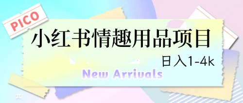 最新小红书情趣用品项目，日入1-4k-蓝天网创