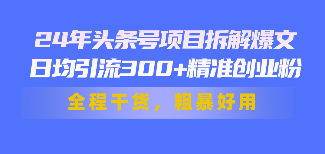 24年头条号项目拆解爆文，日均引流300+精准创业粉，全程干货，粗暴好用-蓝天网创