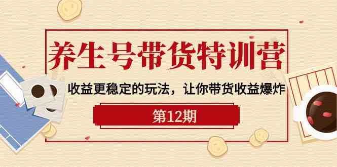 养生号带货特训营【12期】收益更稳定的玩法，让你带货收益爆炸（9节直播课）-蓝天网创