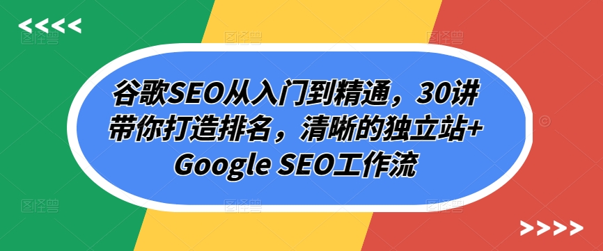 谷歌SEO从入门到精通，30讲带你打造排名，清晰的独立站+Google SEO工作流-蓝天网创