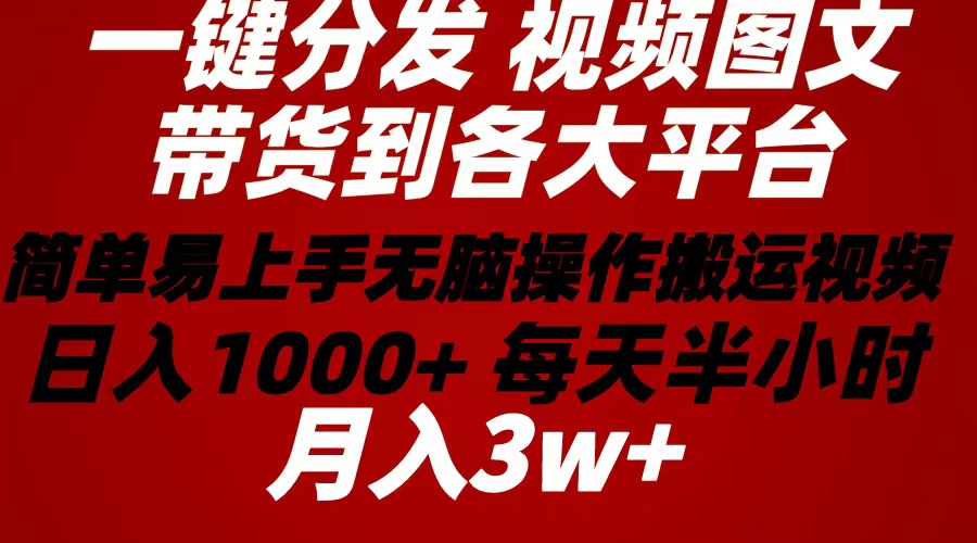 （10667期）2024年 一键分发带货图文视频  简单易上手 无脑赚收益 每天半小时日入1…-蓝天网创