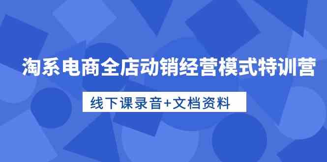 淘系电商全店动销经营模式特训营，线下课录音+文档资料-蓝天网创