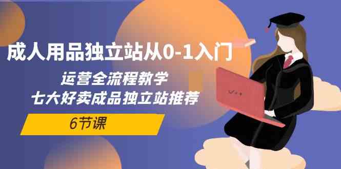 （10082期）成人用品独立站从0-1入门，运营全流程教学，七大好卖成品独立站推荐-6节课-蓝天网创