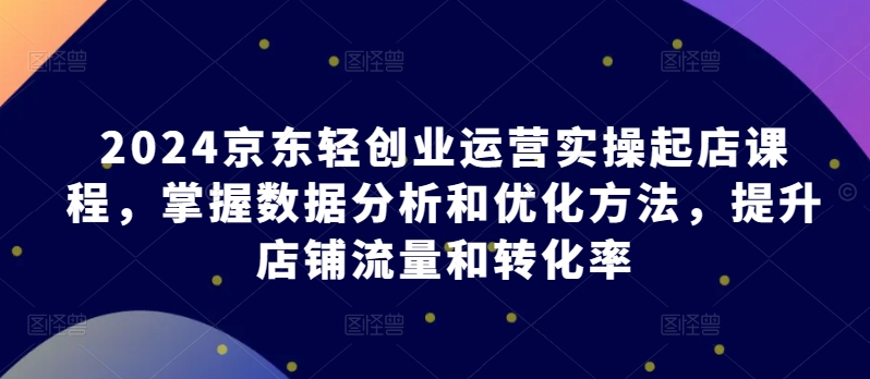 2024京东轻创业运营实操起店课程，掌握数据分析和优化方法，提升店铺流量和转化率-蓝天网创