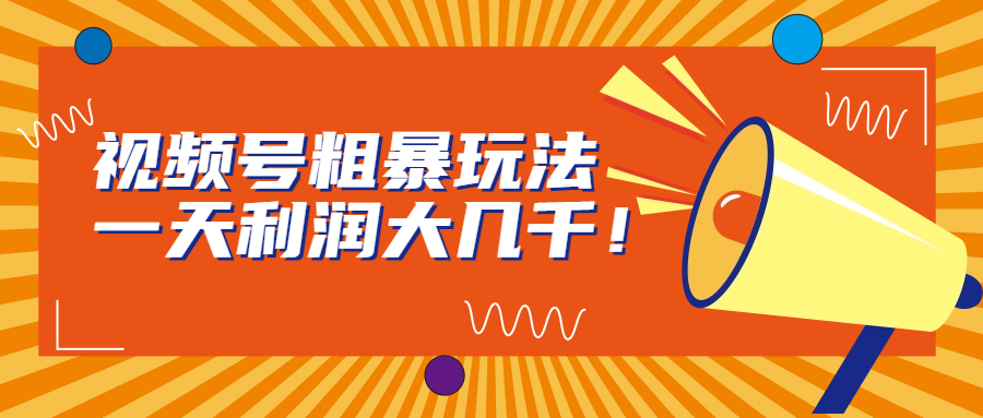 视频号粗暴玩法，一天利润大几千！-蓝天网创