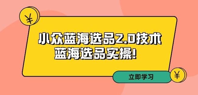 拼多多培训第33期：小众蓝海选品2.0技术-蓝海选品实操！-蓝天网创