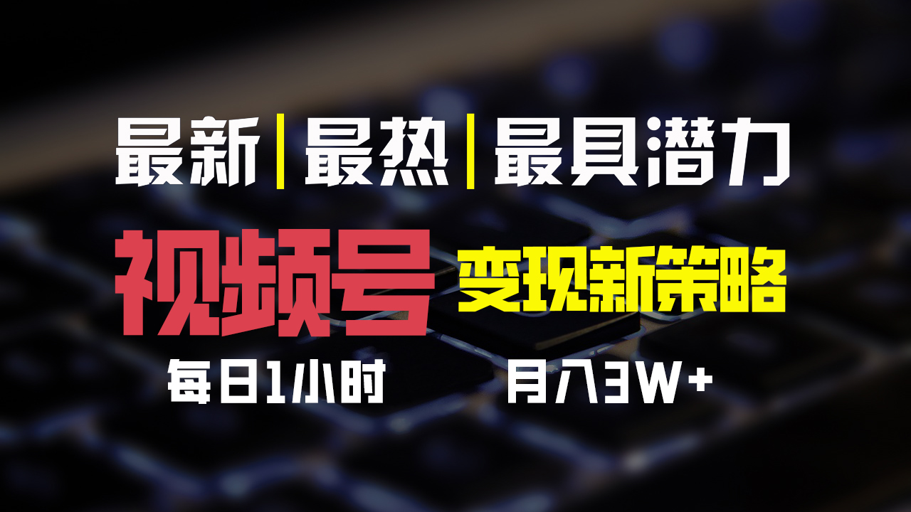 视频号变现新策略，每日一小时月入30000+-蓝天网创