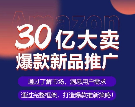 亚马逊·30亿大卖爆款新品推广，可复制、全程案例实操的爆款推新SOP-蓝天网创