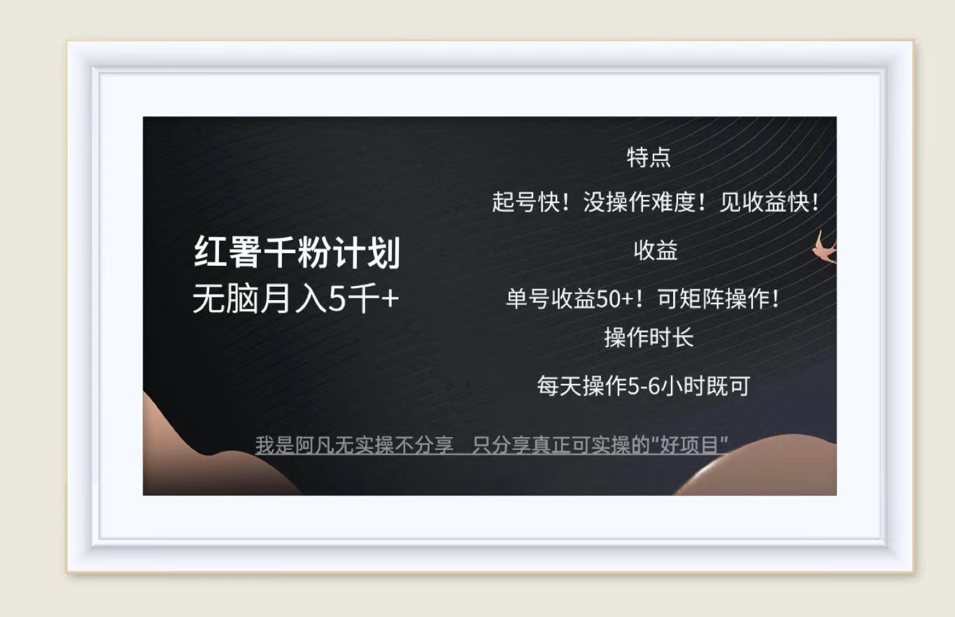 （12560期）红薯千粉计划无脑月入5千+！既做既赚！-蓝天网创