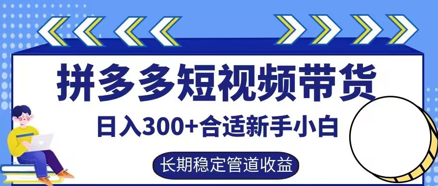 拼多多短视频带货日入300+有长期稳定被动收益，合适新手小白【揭秘】-蓝天网创