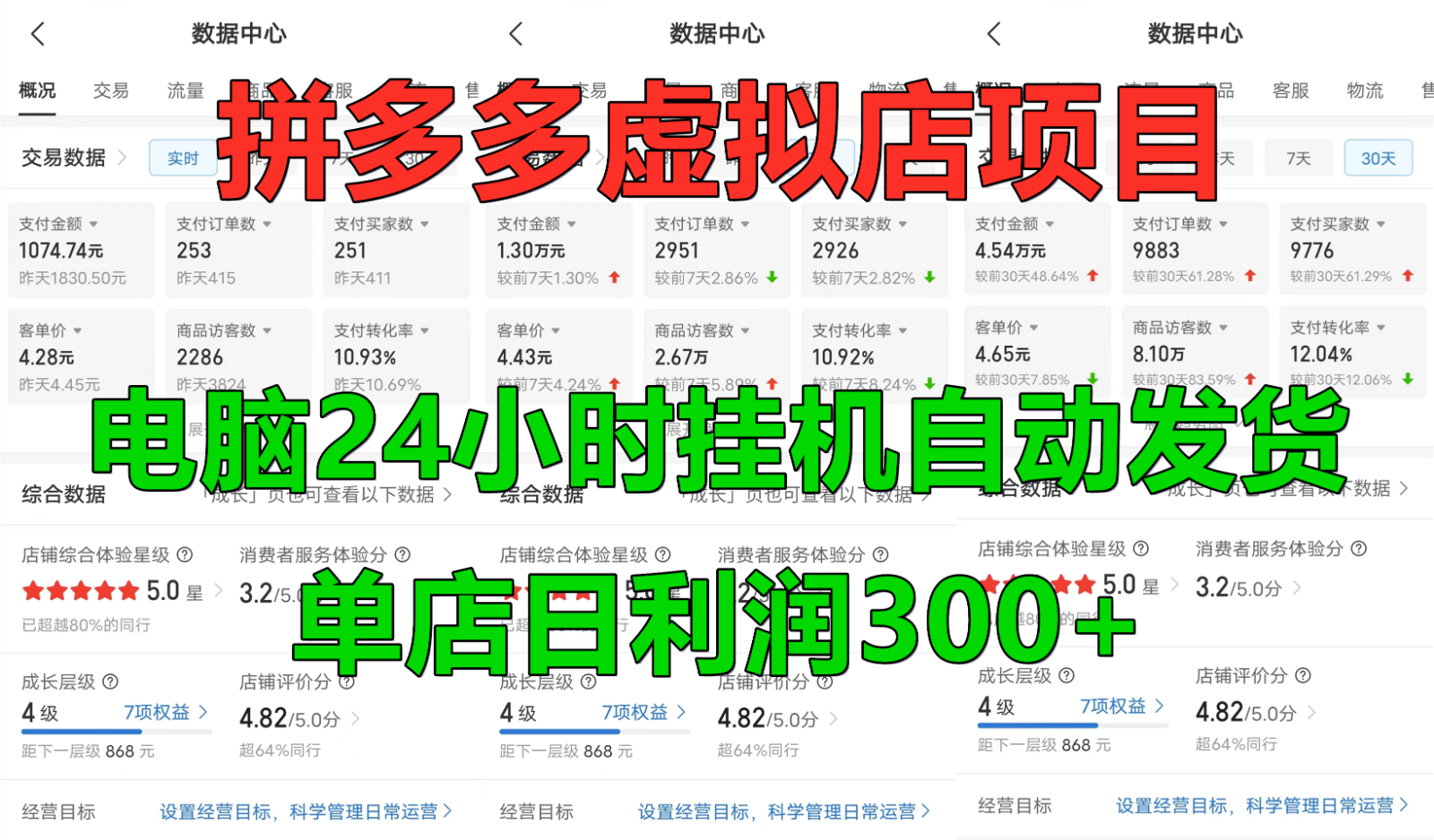 拼多多虚拟店铺项目，电脑挂机自动发货，单店日利润300+-蓝天网创