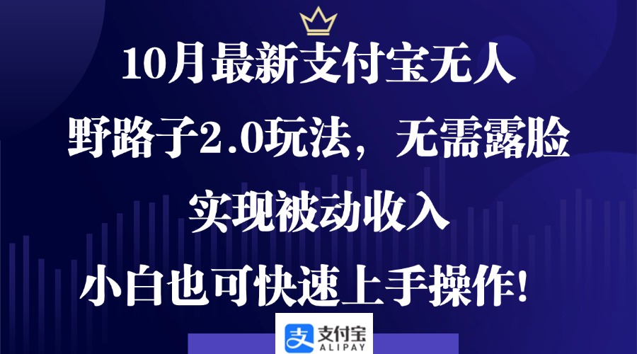 （12824期）10月最新支付宝无人野路子2.0玩法，无需露脸，实现被动收入，小白也可…-蓝天网创