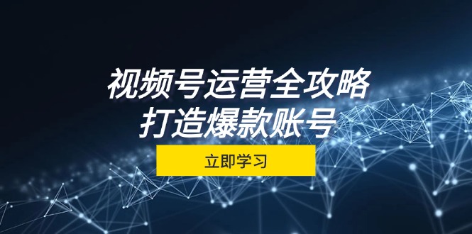 视频号运营全攻略，从定位到成交一站式学习，视频号核心秘诀，打造爆款账号-蓝天网创