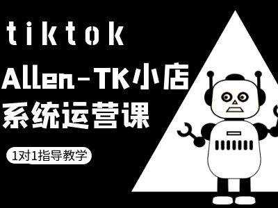 TK小店系统运营课-tiktok跨境电商教程-蓝天网创