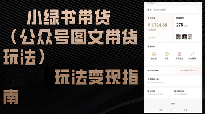 （12902期）小绿书带货（公众号图文带货玩法）玩法变现指南-蓝天网创
