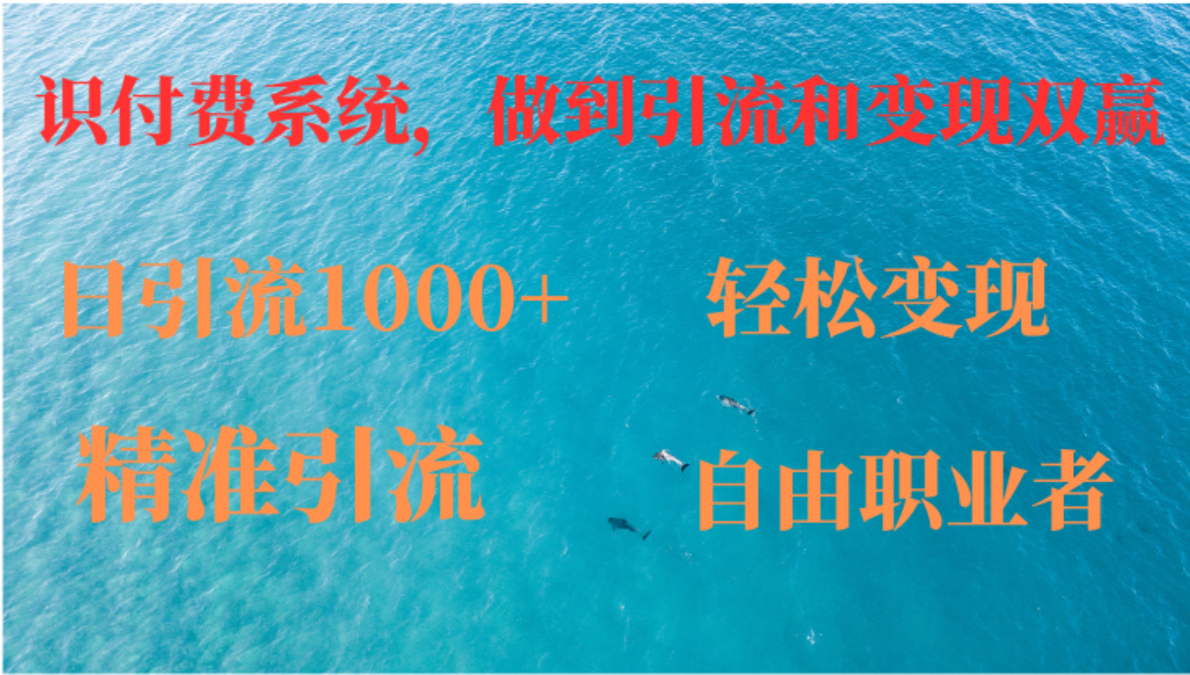 如何搭建自己的知识付费系统，做到引流和变现双赢-蓝天网创