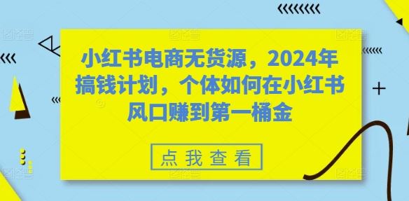 小红书电商无货源，2024年搞钱计划，个体如何在小红书风口赚到第一桶金-蓝天网创