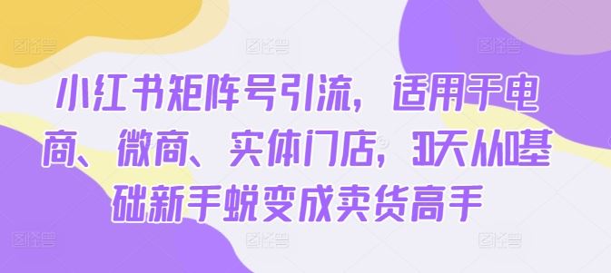 小红书矩阵号引流，适用于电商、微商、实体门店，30天从0基础新手蜕变成卖货高手-蓝天网创