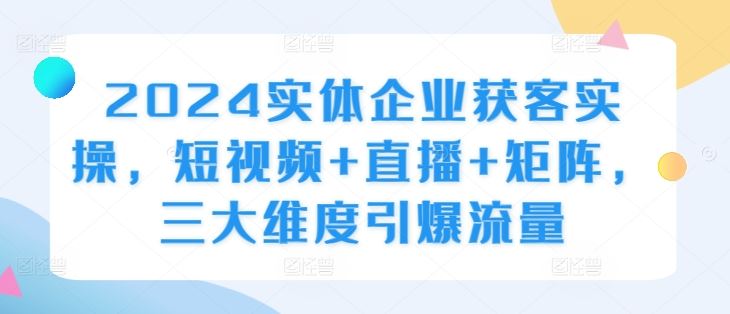 2024实体企业获客实操，短视频+直播+矩阵，三大维度引爆流量-蓝天网创