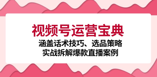 视频号运营宝典：涵盖话术技巧、选品策略、实战拆解爆款直播案例-蓝天网创