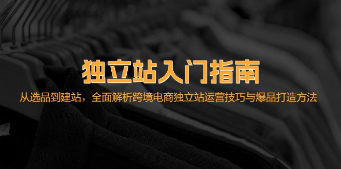 （12882期）独立站入门指南：从选品到建站，全面解析跨境电商独立站运营技巧与爆品…-蓝天网创