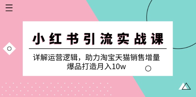 （12809期）小红书引流实战课：详解运营逻辑，助力淘宝天猫销售增量，爆品打造月入10w-蓝天网创
