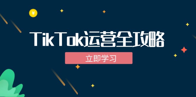 TikTok实战运营全攻略：从下载软件到变现，抖音海外版实操教程-蓝天网创