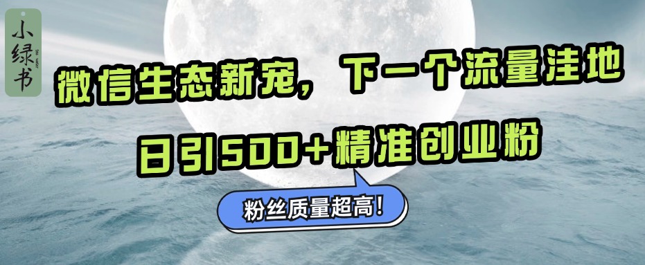 微信生态新宠小绿书：下一个流量洼地，粉丝质量超高，日引500+精准创业粉，-蓝天网创