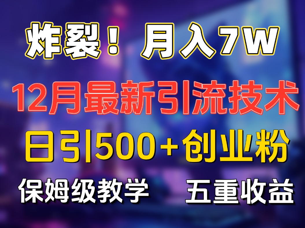 炸裂！月入7W+揭秘12月最新日引流500+精准创业粉，多重收益保姆级教学-蓝天网创