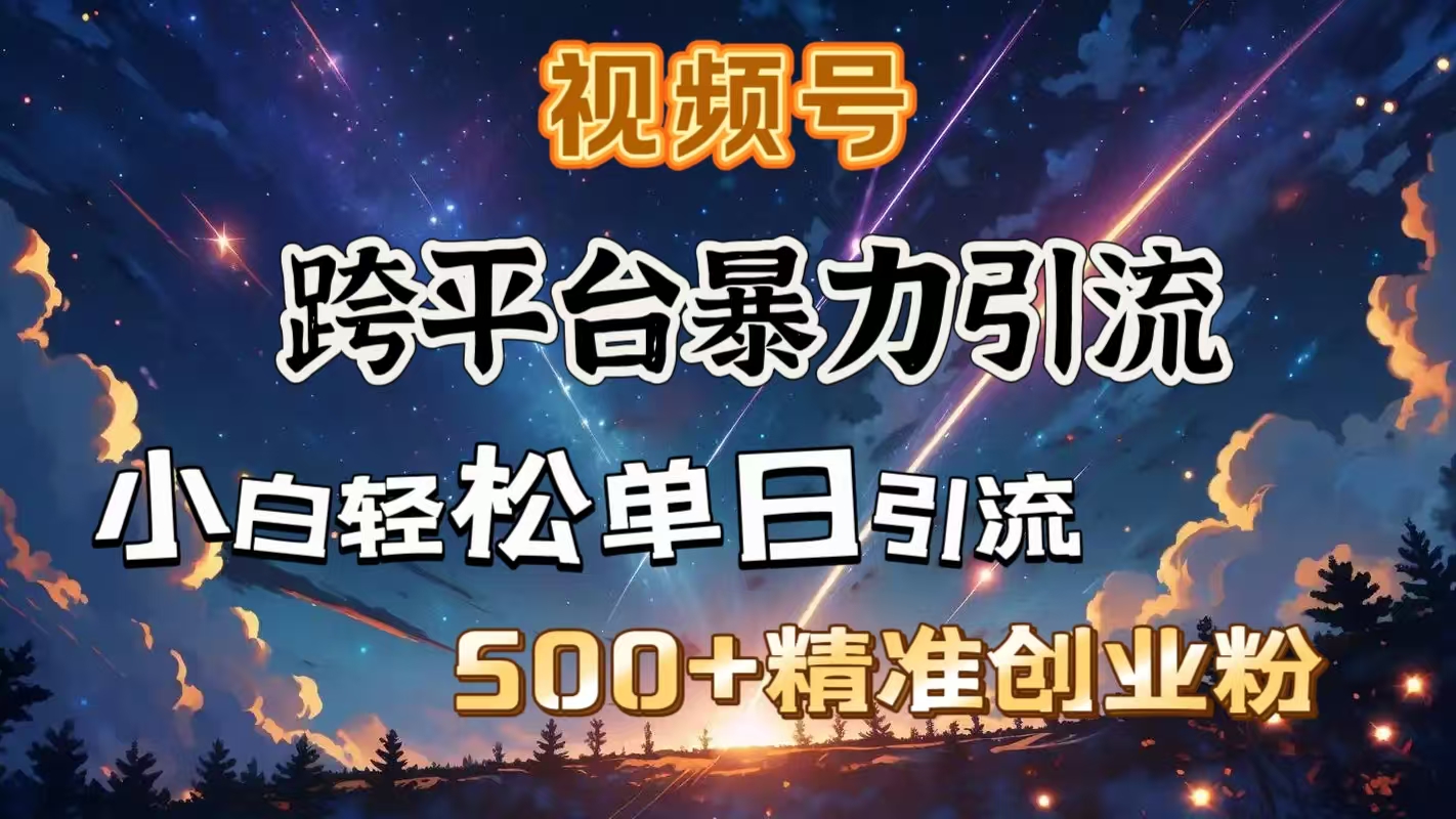 视频号跨平台暴力引流，小白轻松单日引流500＋精准创业粉-蓝天网创
