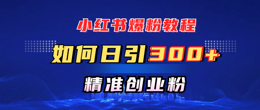 小红书爆粉教程，如何日引300+创业粉，快速实现精准变现！-蓝天网创