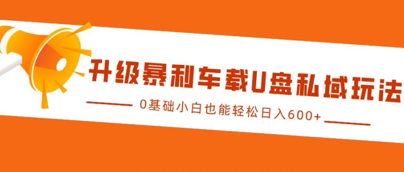 升级暴利车载U盘私域玩法，0基础小白也能轻松日入多张【揭秘】-蓝天网创