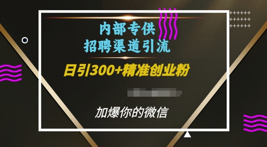 内部招聘渠道日引流300+创业粉，加爆你的微信【揭秘】-蓝天网创